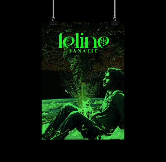 Kumbalangi x Feline 014