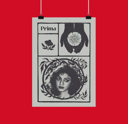 Shobhana x Prima 029